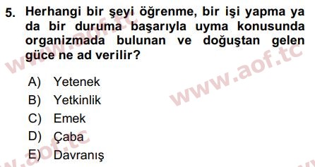 2018 İnsan Kaynakları Yönetimi Arasınav 5. Çıkmış Sınav Sorusu