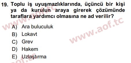 2018 İnsan Kaynakları Yönetimi Final 19. Çıkmış Sınav Sorusu