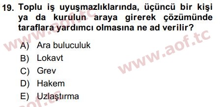 2018 İnsan Kaynakları Yönetimi Final 19. Çıkmış Sınav Sorusu