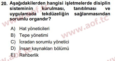 2018 İnsan Kaynakları Yönetimi Final 20. Çıkmış Sınav Sorusu