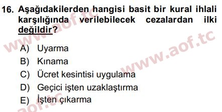 2019 İnsan Kaynakları Yönetimi Final 16. Çıkmış Sınav Sorusu