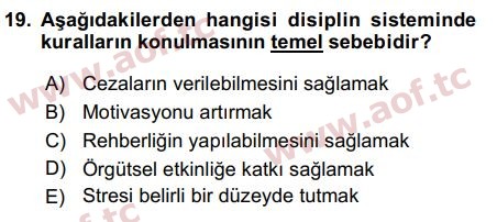 2019 İnsan Kaynakları Yönetimi Final 19. Çıkmış Sınav Sorusu