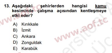 2018 Kentleşme ve Konut Politikaları Yaz Okulu 13. Çıkmış Sınav Sorusu