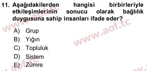 2018 Tüketici Davranışları Final 11. Çıkmış Sınav Sorusu