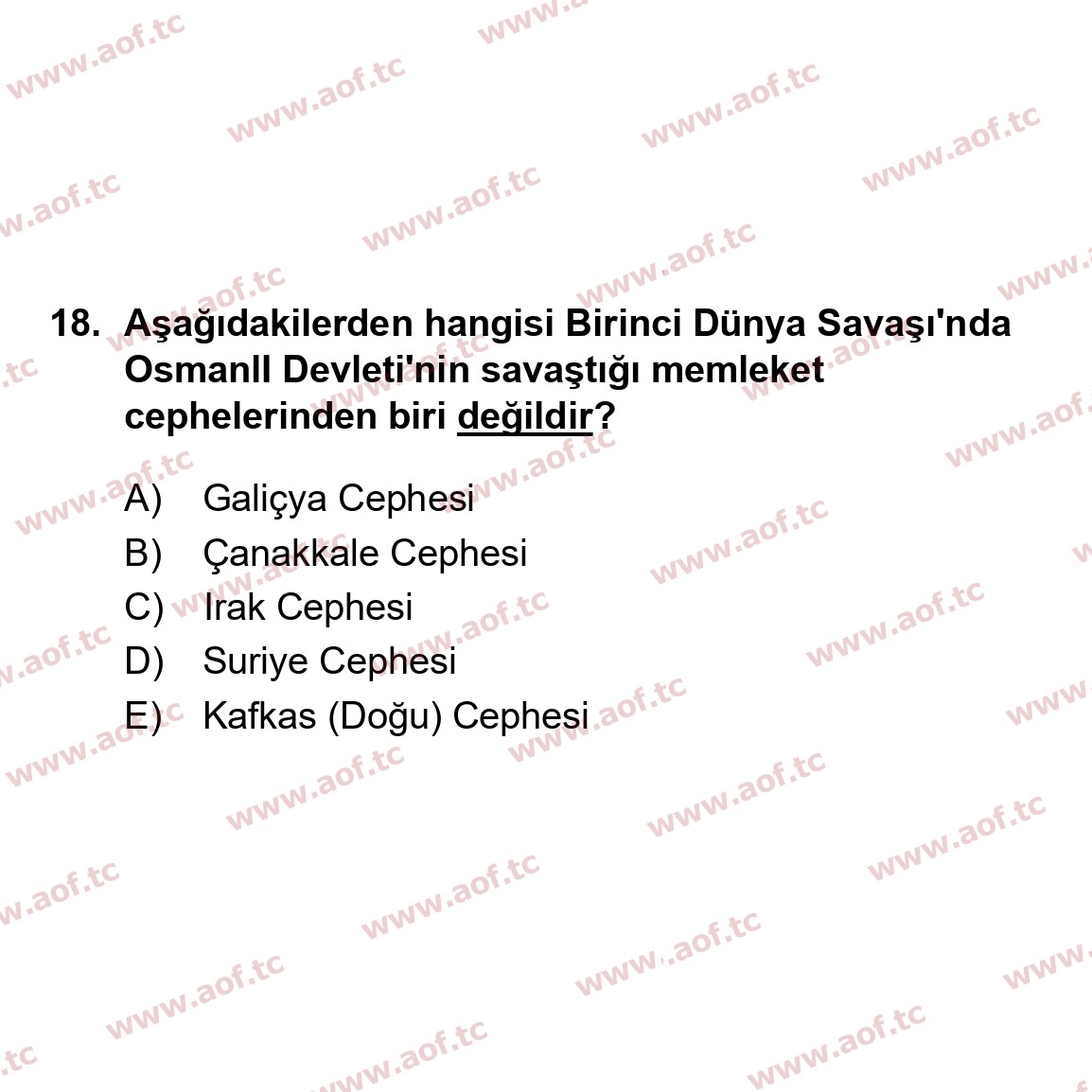 2024 Atatürk İlkeleri ve İnkılap Tarihi 1 Arasınav 18. Çıkmış Sınav Sorusu