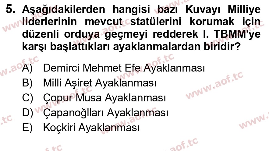 2024 Atatürk İlkeleri ve İnkılap Tarihi 1 Arasınav 5. Çıkmış Sınav Sorusu