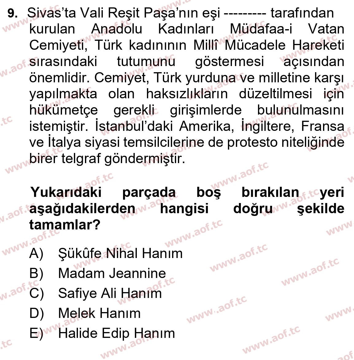 2025 Atatürk İlkeleri ve İnkılap Tarihi 1 Arasınav 9. Çıkmış Sınav Sorusu