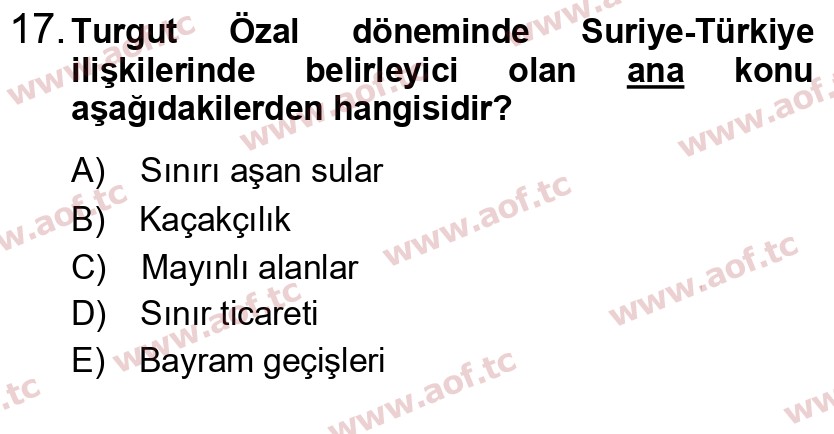 2024 Atatürk İlkeleri ve İnkılap Tarihi 2 Yaz Okulu 17. Çıkmış Sınav Sorusu