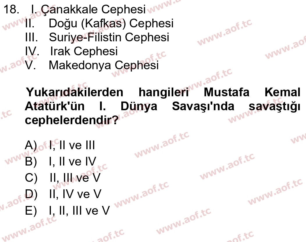 2024 Atatürk İlkeleri ve İnkılap Tarihi 2 Yaz Okulu 18. Çıkmış Sınav Sorusu