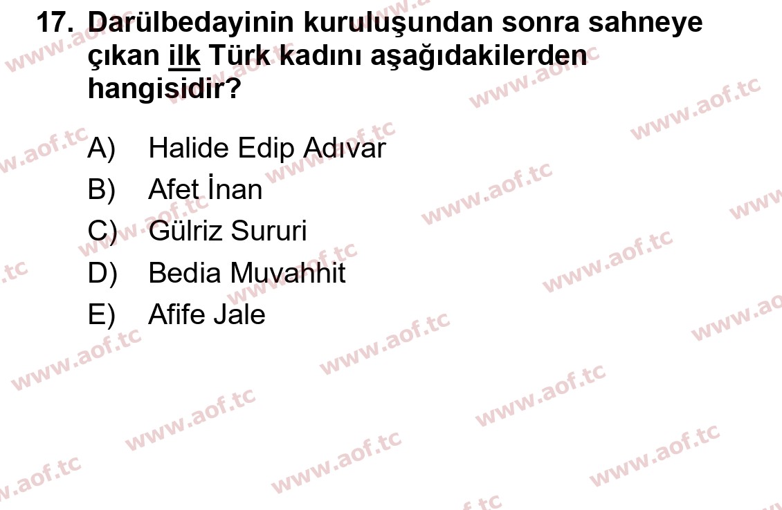 2025 Atatürk İlkeleri ve İnkılap Tarihi 2 Final 17. Çıkmış Sınav Sorusu
