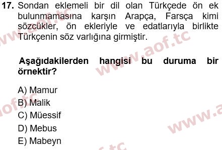 2015 Türk Dili 1 Yaz Okulu 17. Çıkmış Sınav Sorusu