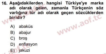 2016 Türk Dili 1 Final 16. Çıkmış Sınav Sorusu
