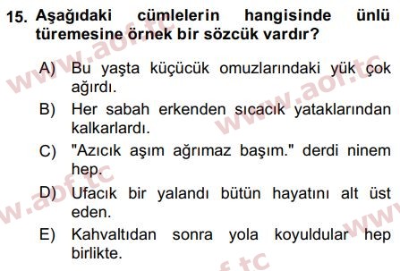 2017 Türk Dili 1 Arasınav 15. Çıkmış Sınav Sorusu