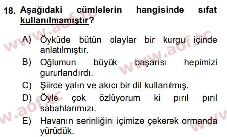 2017 Türk Dili 1 Arasınav 18. Çıkmış Sınav Sorusu