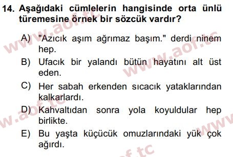 2019 Türk Dili 1 Arasınav 14. Çıkmış Sınav Sorusu