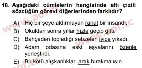 2019 Türk Dili 1 Arasınav 18. Çıkmış Sınav Sorusu