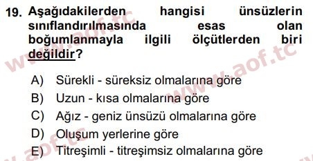 2019 Türk Dili 1 Arasınav 19. Çıkmış Sınav Sorusu