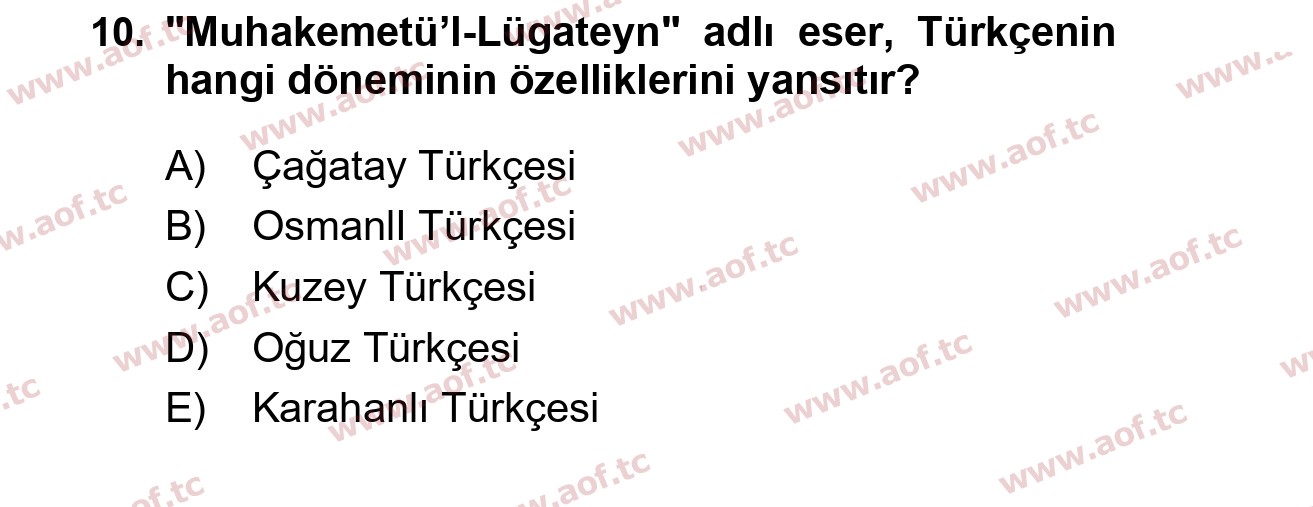 2025 Türk Dili 1 Final 10. Çıkmış Sınav Sorusu