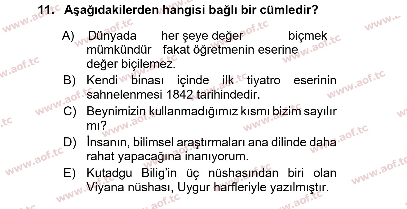 2025 Türk Dili 1 Final 11. Çıkmış Sınav Sorusu