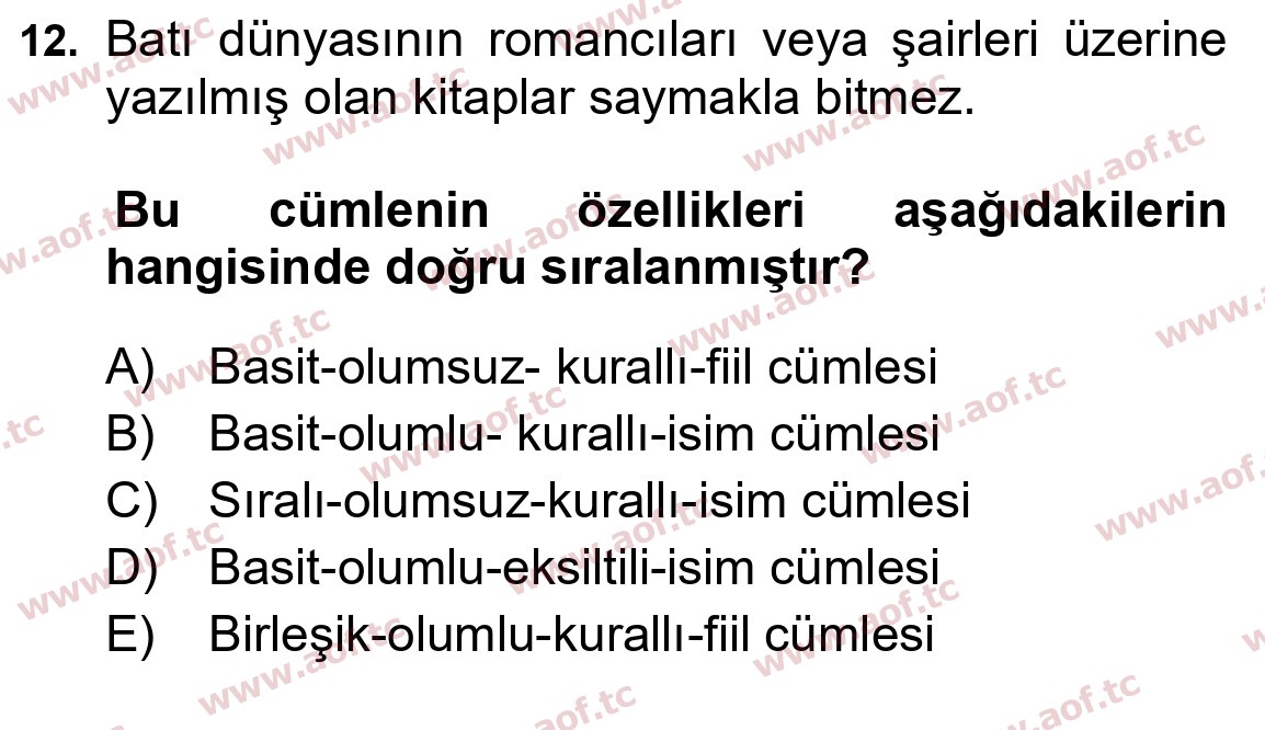 2025 Türk Dili 1 Final 12. Çıkmış Sınav Sorusu