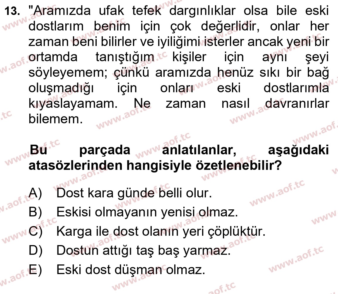 2025 Türk Dili 1 Final 13. Çıkmış Sınav Sorusu