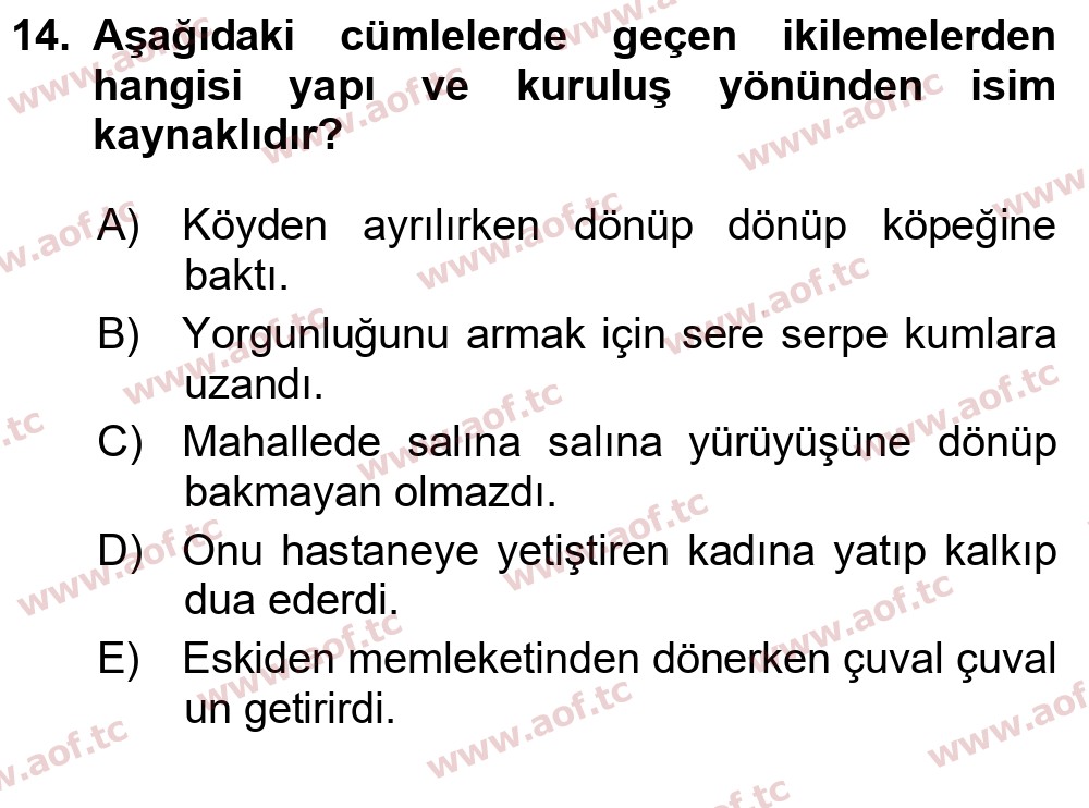 2025 Türk Dili 1 Final 14. Çıkmış Sınav Sorusu
