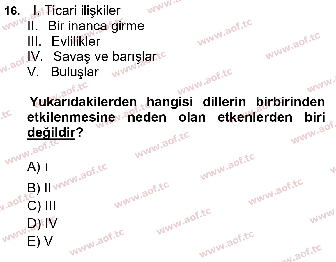 2025 Türk Dili 1 Final 16. Çıkmış Sınav Sorusu