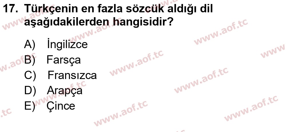 2025 Türk Dili 1 Final 17. Çıkmış Sınav Sorusu