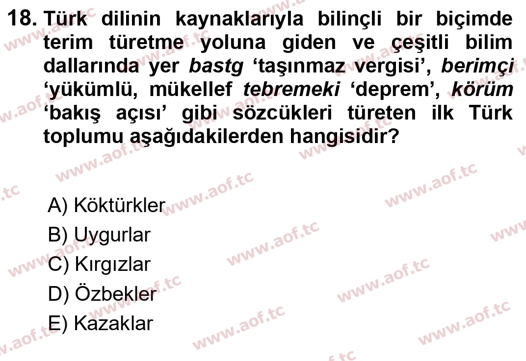 2025 Türk Dili 1 Final 18. Çıkmış Sınav Sorusu