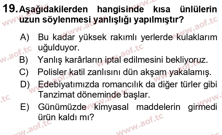 2025 Türk Dili 1 Final 19. Çıkmış Sınav Sorusu