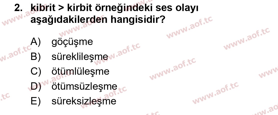 2025 Türk Dili 1 Final 2. Çıkmış Sınav Sorusu