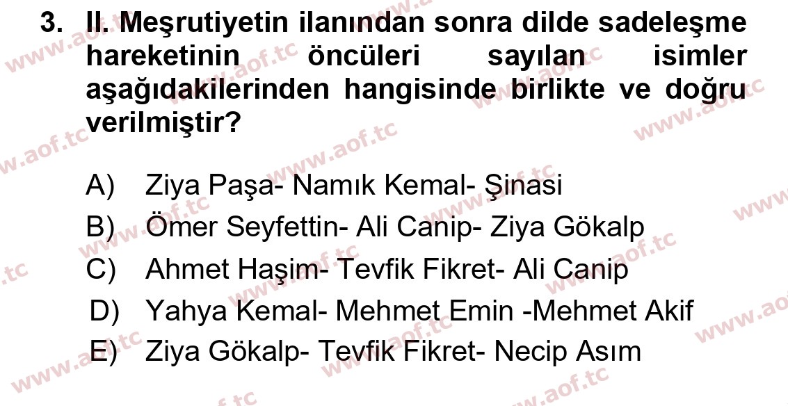 2025 Türk Dili 1 Final 3. Çıkmış Sınav Sorusu