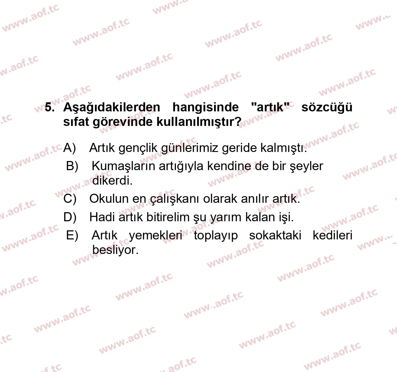 2025 Türk Dili 1 Final 5. Çıkmış Sınav Sorusu