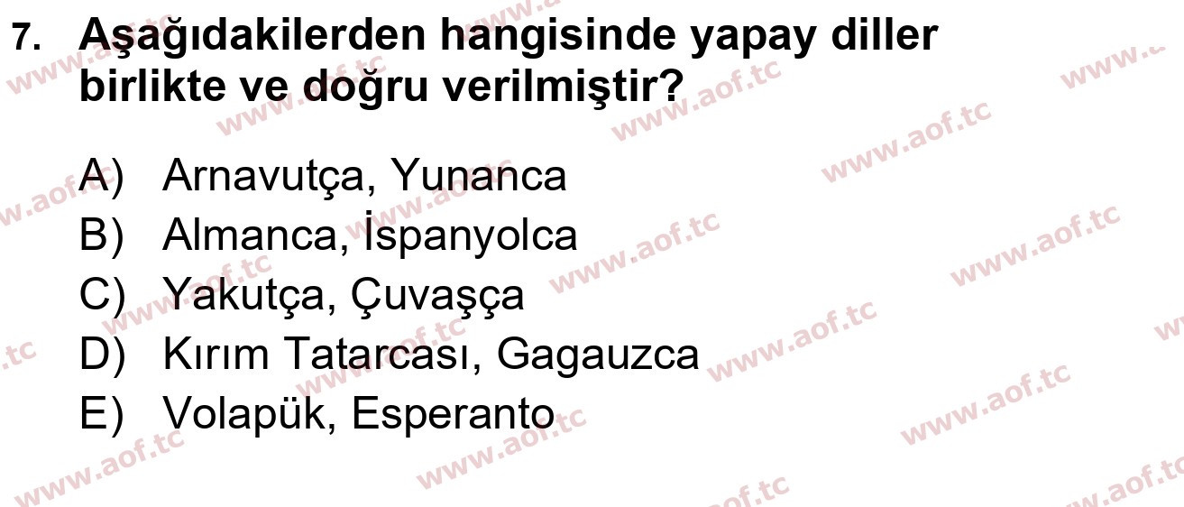 2025 Türk Dili 1 Final 7. Çıkmış Sınav Sorusu