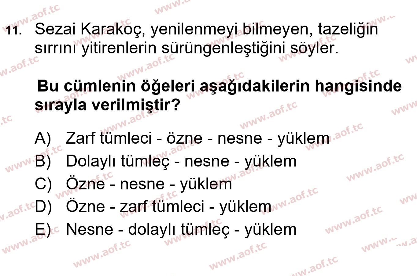 2025 Türk Dili 1 Yaz Okulu 11. Çıkmış Sınav Sorusu