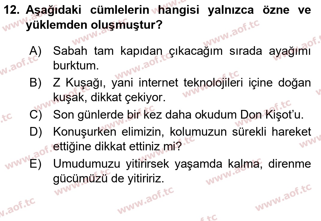 2025 Türk Dili 1 Yaz Okulu 12. Çıkmış Sınav Sorusu