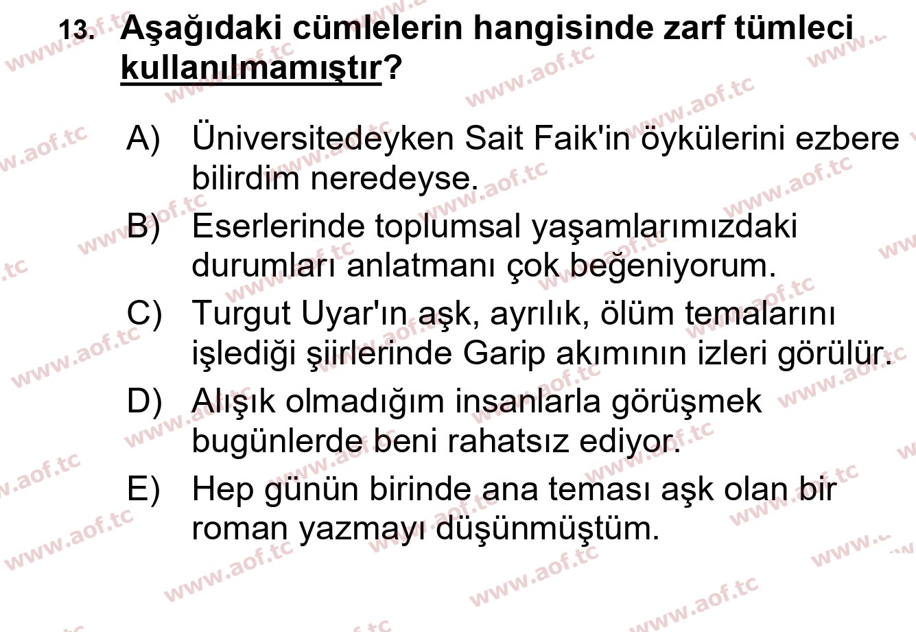 2025 Türk Dili 1 Yaz Okulu 13. Çıkmış Sınav Sorusu