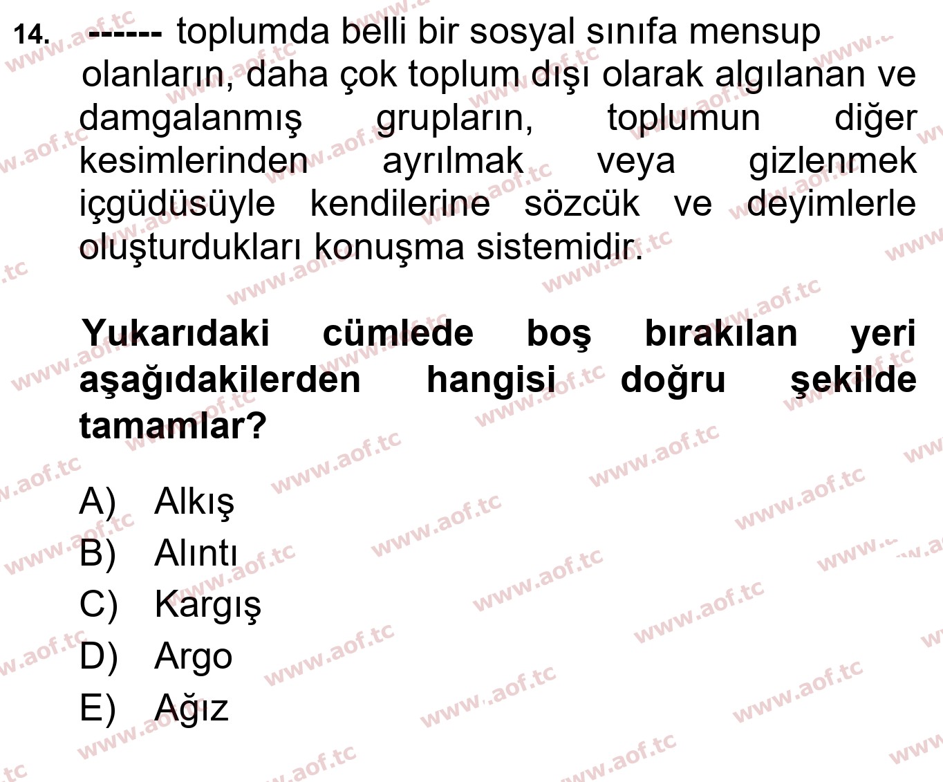 2025 Türk Dili 1 Yaz Okulu 14. Çıkmış Sınav Sorusu