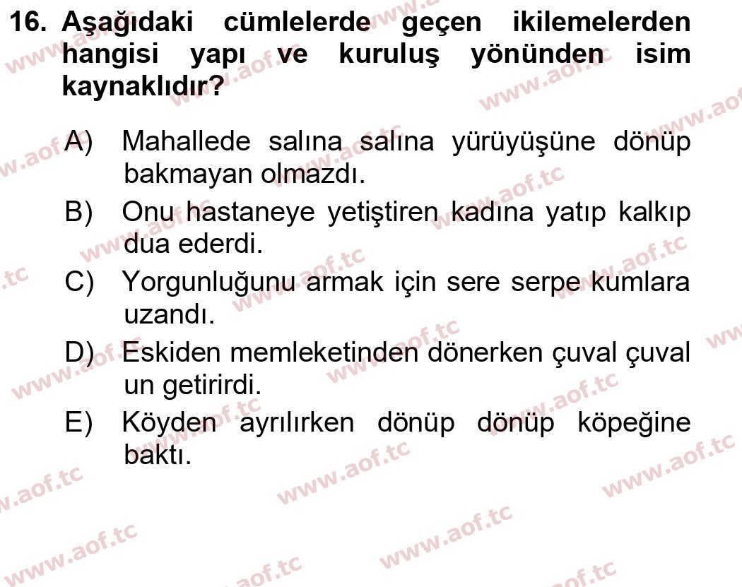 2025 Türk Dili 1 Yaz Okulu 16. Çıkmış Sınav Sorusu
