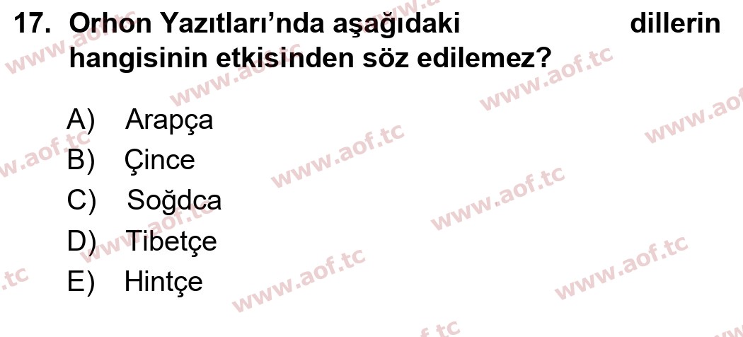 2025 Türk Dili 1 Yaz Okulu 17. Çıkmış Sınav Sorusu