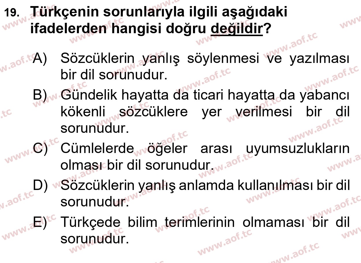 2025 Türk Dili 1 Yaz Okulu 19. Çıkmış Sınav Sorusu