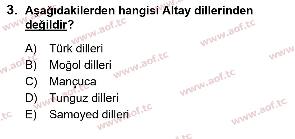 2025 Türk Dili 1 Yaz Okulu 3. Çıkmış Sınav Sorusu
