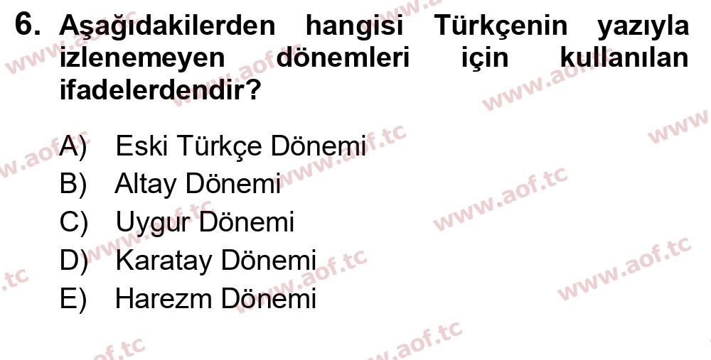 2025 Türk Dili 1 Yaz Okulu 6. Çıkmış Sınav Sorusu