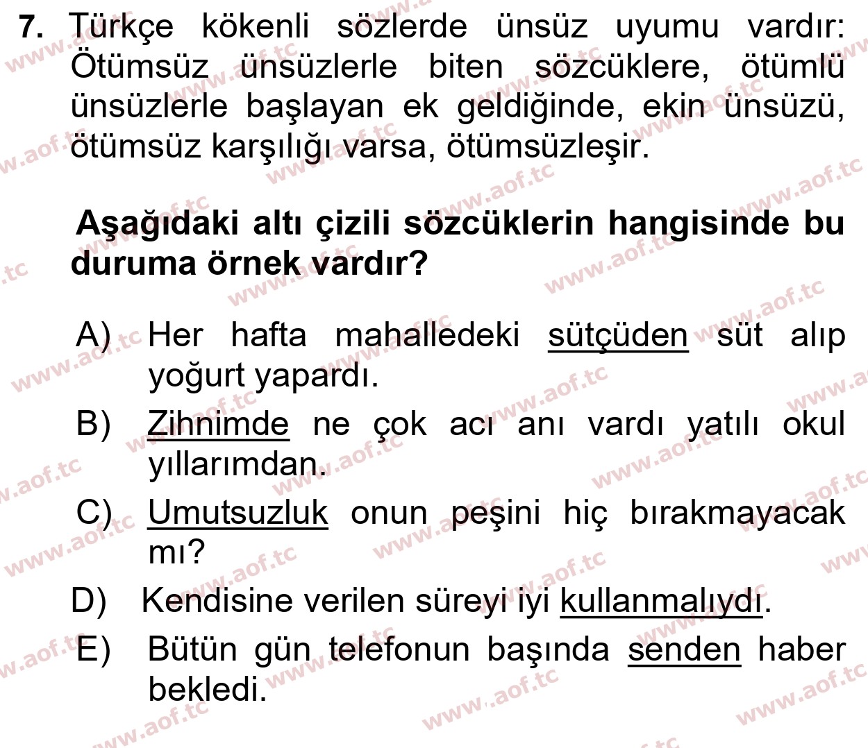 2025 Türk Dili 1 Yaz Okulu 7. Çıkmış Sınav Sorusu