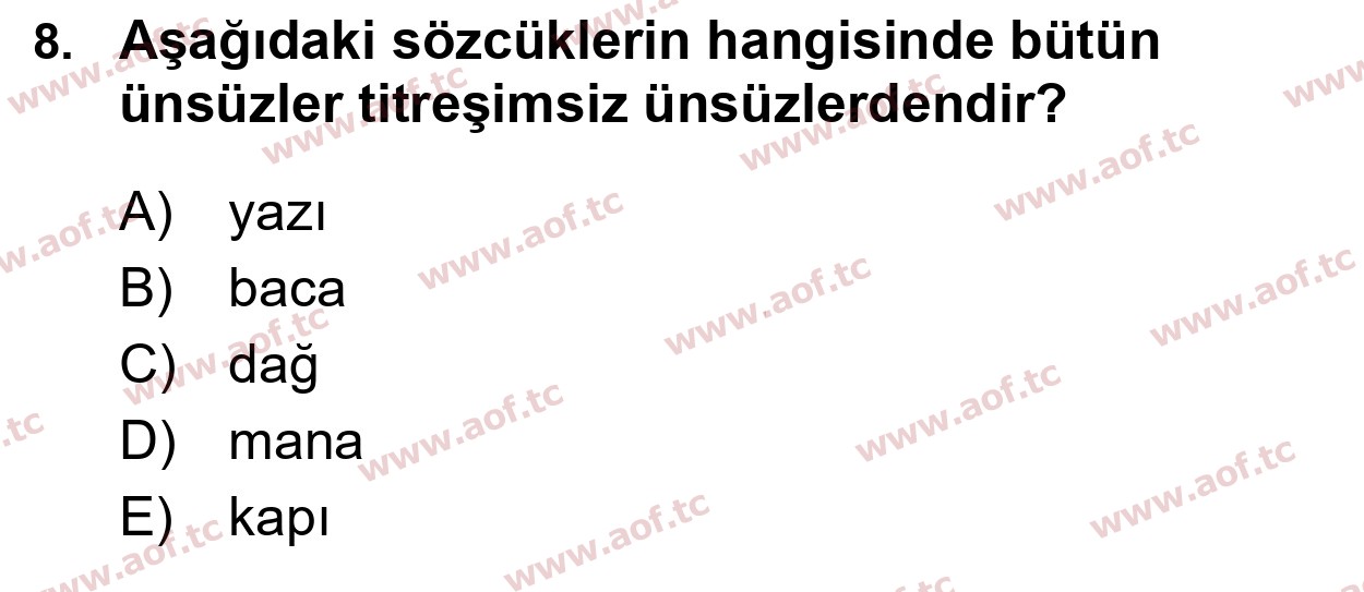 2025 Türk Dili 1 Yaz Okulu 8. Çıkmış Sınav Sorusu
