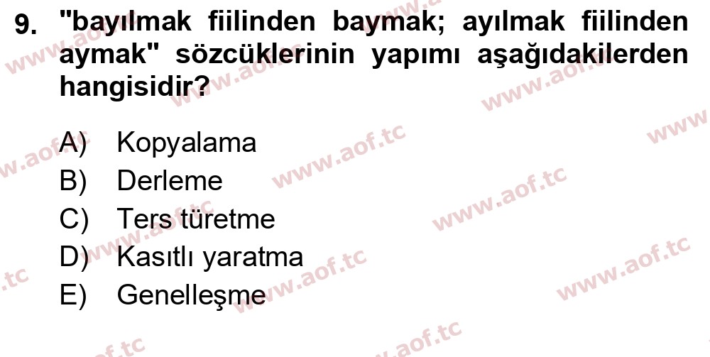 2025 Türk Dili 1 Yaz Okulu 9. Çıkmış Sınav Sorusu
