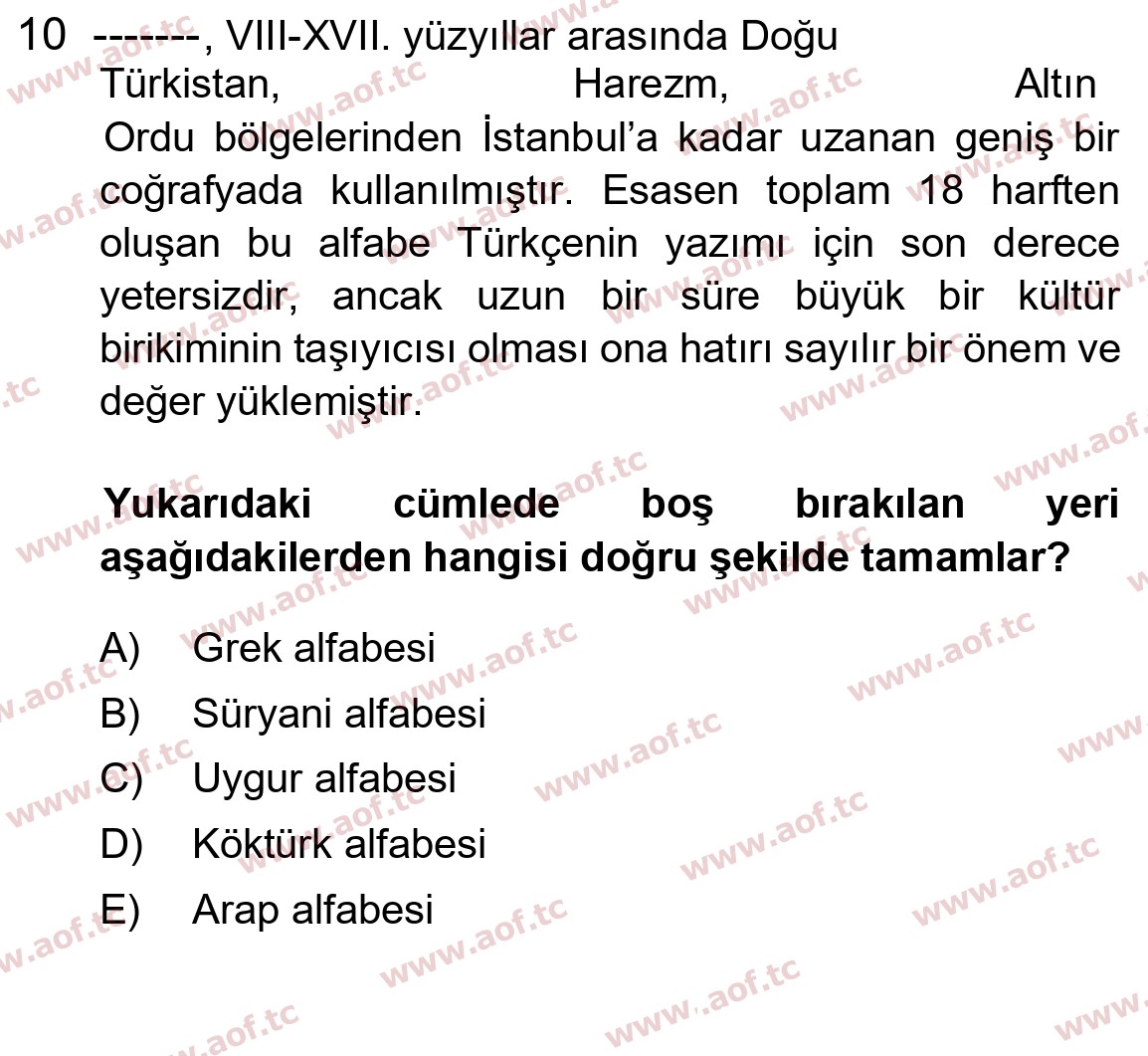 2026 Türk Dili 1 Arasınav 10. Çıkmış Sınav Sorusu