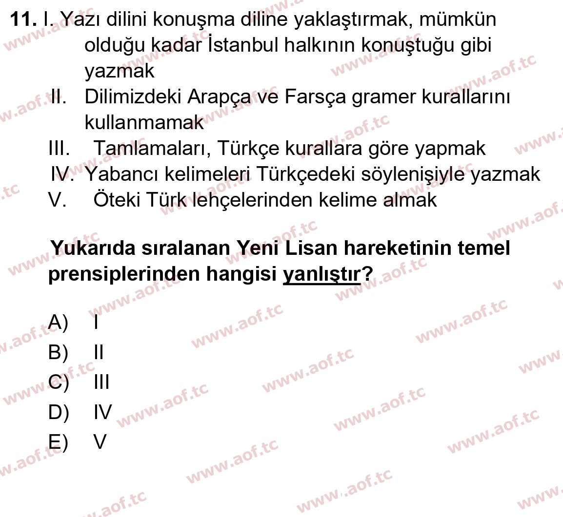 2026 Türk Dili 1 Arasınav 11. Çıkmış Sınav Sorusu