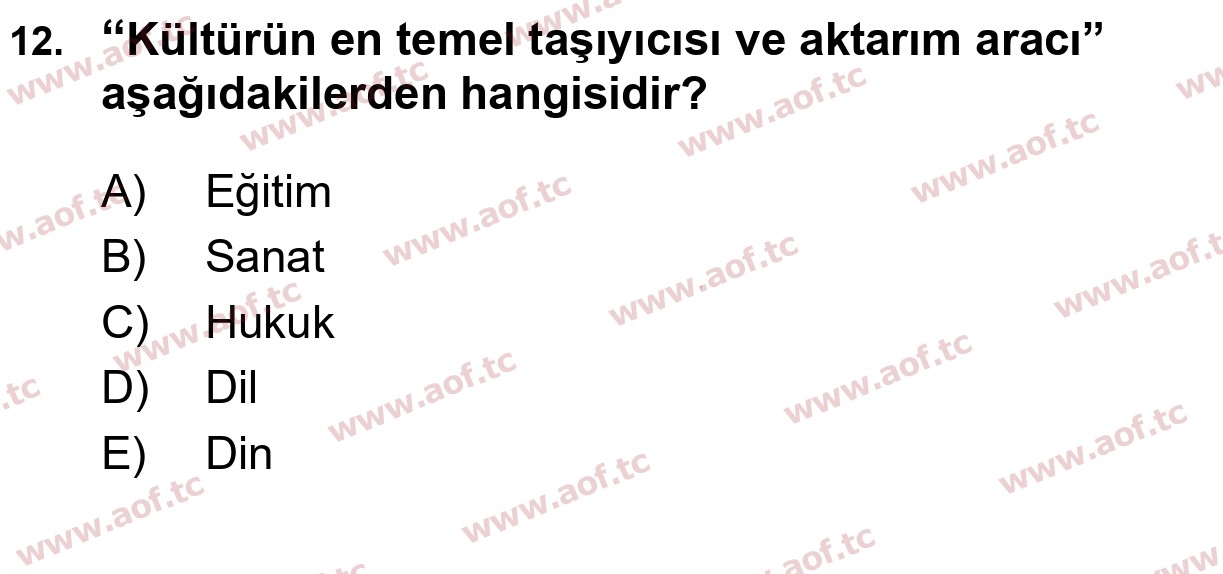 2026 Türk Dili 1 Arasınav 12. Çıkmış Sınav Sorusu