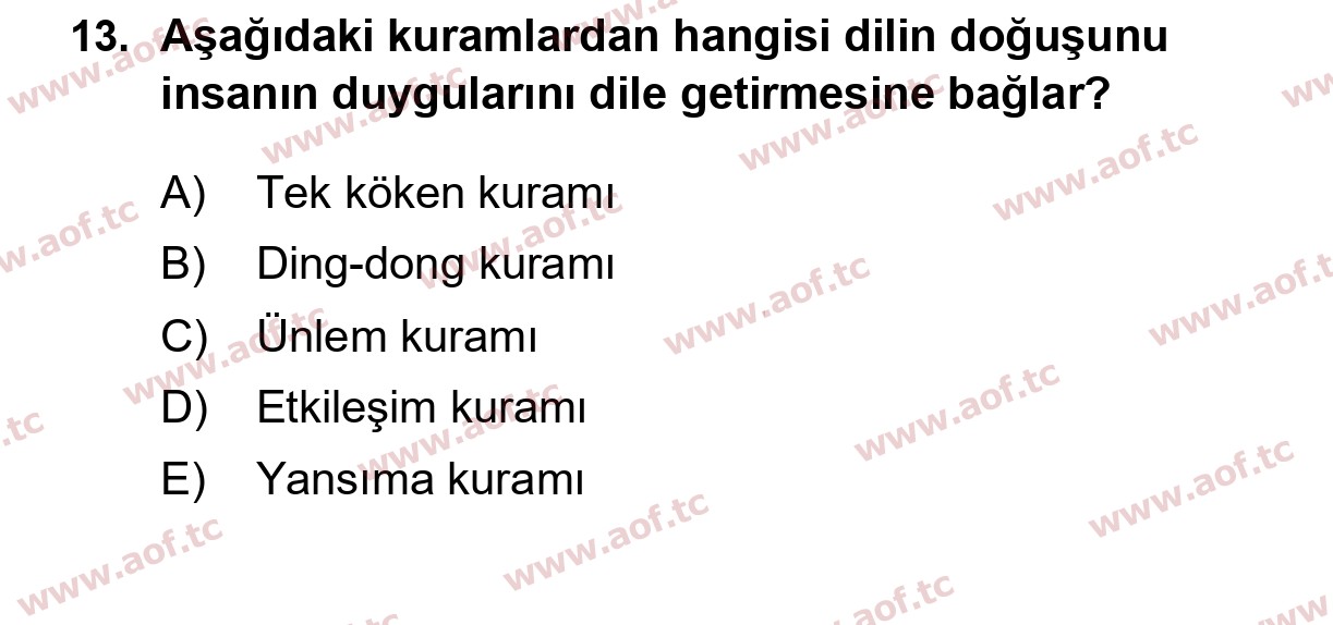 2026 Türk Dili 1 Arasınav 13. Çıkmış Sınav Sorusu